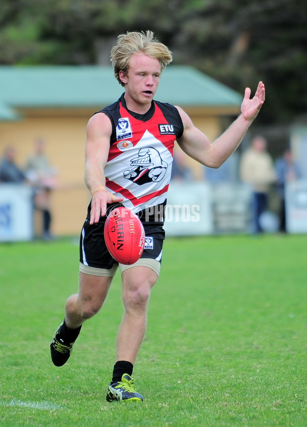 VFL 2014 Rd 03 - Frankston v Casey Scorpions - 323162