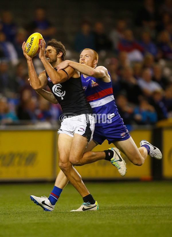 AFL 2014 Rd 05 - Western Bulldogs v Carlton - 323273