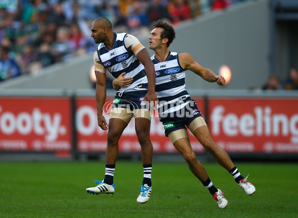 AFL 2014 Rd 05 - Geelong v Hawthorn - 323303