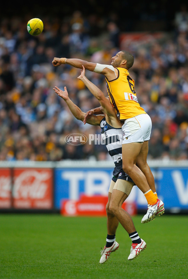 AFL 2014 Rd 05 - Geelong v Hawthorn - 323408