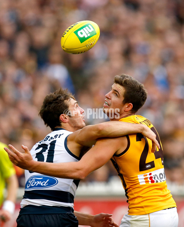 AFL 2014 Rd 05 - Geelong v Hawthorn - 323392