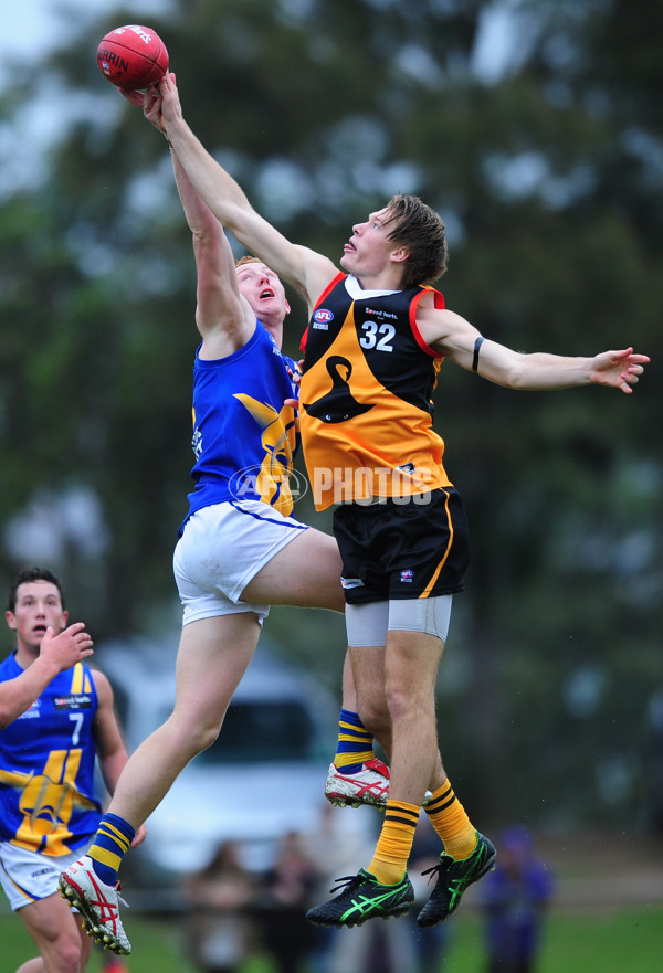 TAC Cup 2014 Rd 05 - Dandenong Stingrays v Western Jets - 324247