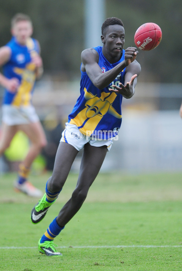 TAC Cup 2014 Rd 05 - Dandenong Stingrays v Western Jets - 324246