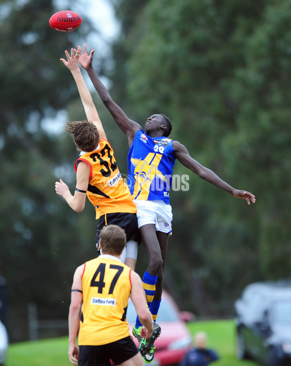 TAC Cup 2014 Rd 05 - Dandenong Stingrays v Western Jets - 324272