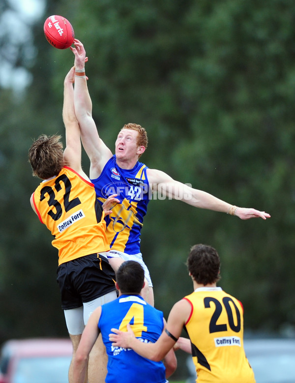 TAC Cup 2014 Rd 05 - Dandenong Stingrays v Western Jets - 324271