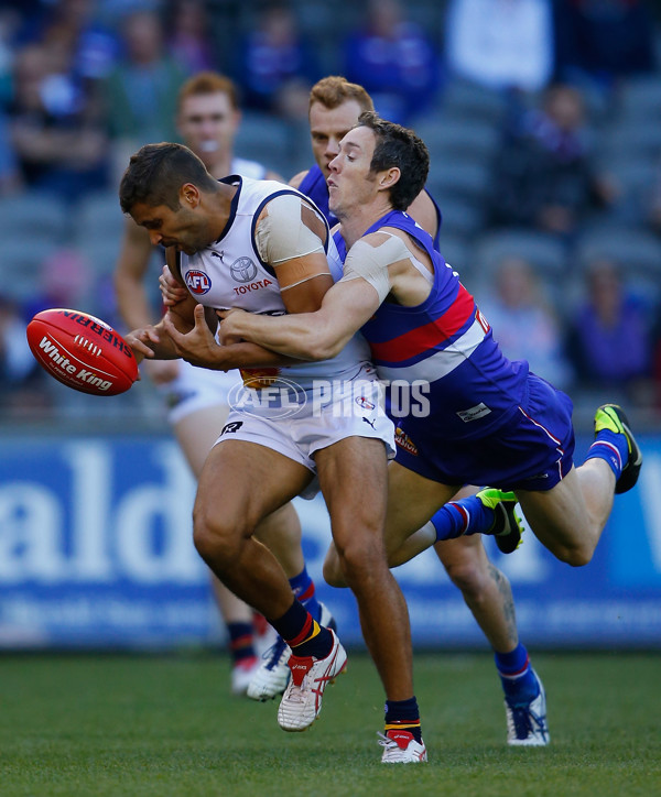 AFL 2014 Rd 06 - Western Bulldogs v Adelaide - 324564