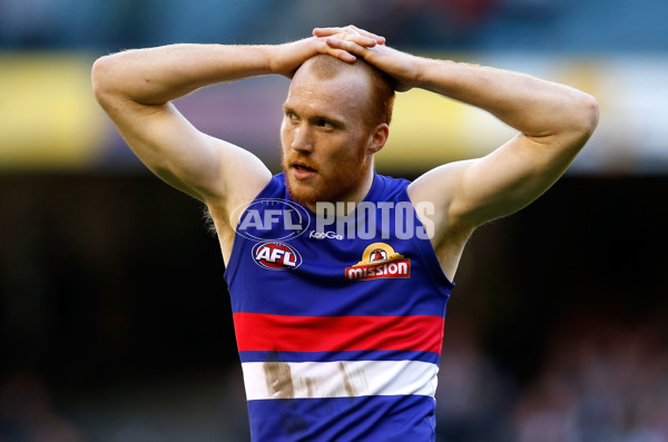 AFL 2014 Rd 06 - Western Bulldogs v Adelaide - 324631