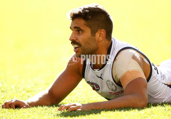 AFL 2014 Rd 06 - Western Bulldogs v Adelaide - 324656