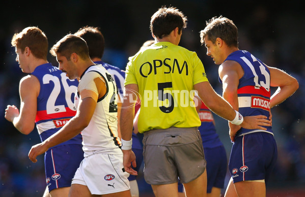 AFL 2014 Rd 06 - Western Bulldogs v Adelaide - 324697