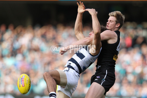 AFL 2014 Rd 06 - Port Adelaide v Geelong - 324701