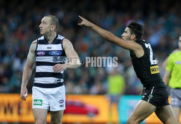 AFL 2014 Rd 06 - Port Adelaide v Geelong - 324770