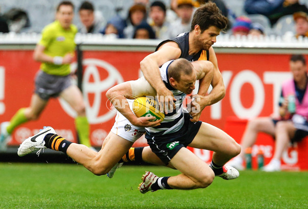 AFL 2014 Rd 07 - Geelong v Richmond - 325757