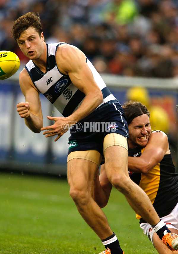 AFL 2014 Rd 07 - Geelong v Richmond - 326004