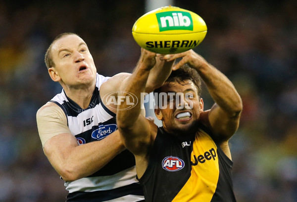 AFL 2014 Rd 07 - Geelong v Richmond - 326002