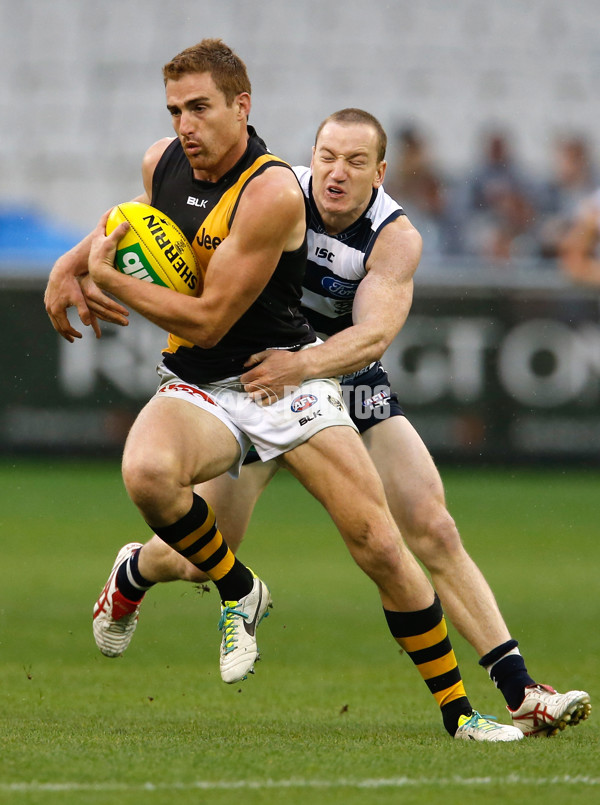 AFL 2014 Rd 07 - Geelong v Richmond - 326008