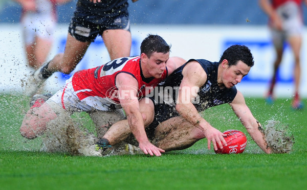 VFL 2014 Rd 06 - Northern Blues v Casey Scorpions - 326790