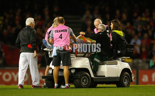 AFL 2014 Rd 09 - Essendon v Sydney - 327491