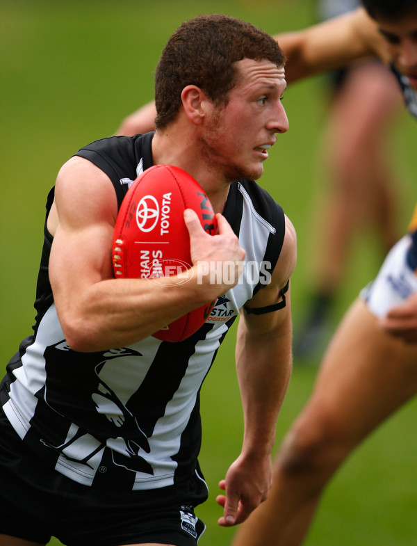 VFL 2014 Rd 07 - Collingwood v Bendigo - 327987