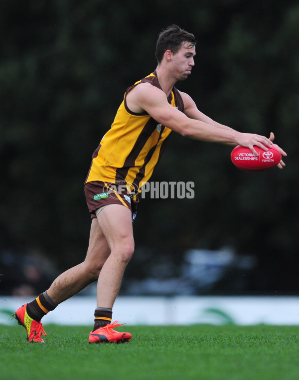 VFL 2014 Rd 08 - Box Hill Hawks v Port Melbourne - 329019