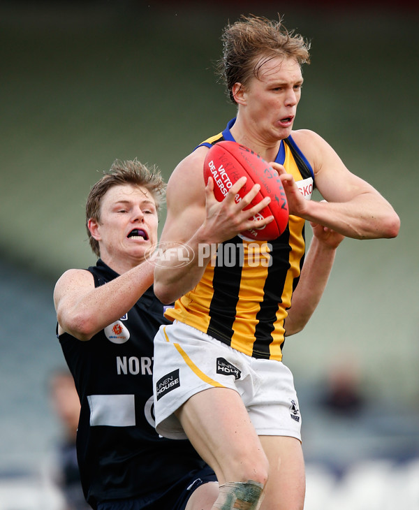 VFL 2014 Rd 09 - Northern Blues v Sandringham - 331085