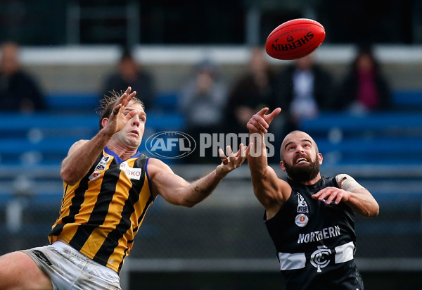 VFL 2014 Rd 09 - Northern Blues v Sandringham - 331066