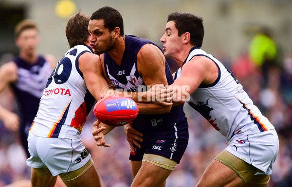 AFL 2014 Rd 12 - Fremantle v Adelaide - 331392