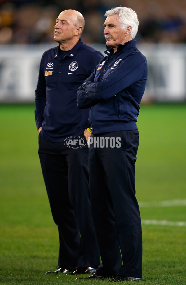 AFL 2014 Rd 13 - Carlton v Hawthorn - 331991