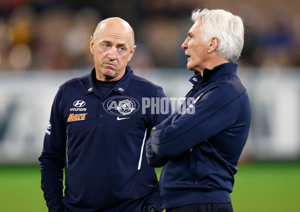 AFL 2014 Rd 13 - Carlton v Hawthorn - 331990