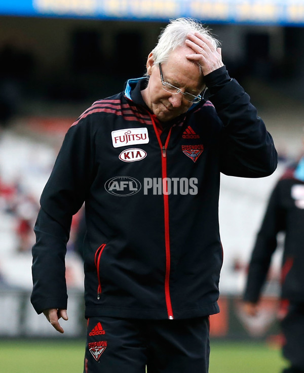 AFL 2014 Rd 13 - Essendon v Melbourne - 332867