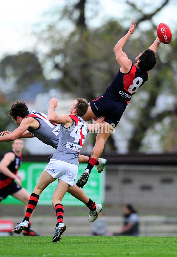 VFL 2014 Rd 11 - Coburg v Essendon - 333868