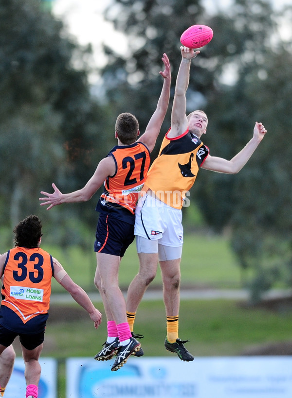 TAC Cup 2014 Rd 12 - Calder Cannons v Dandenong Stingrays - 334570