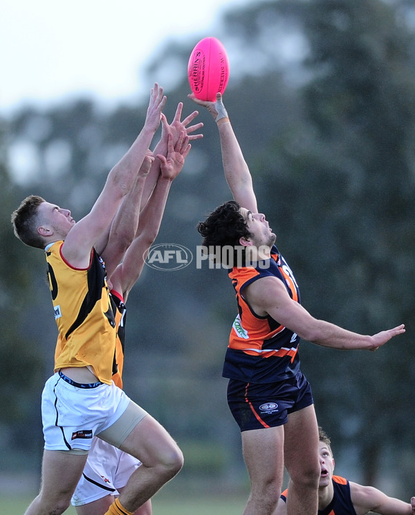 TAC Cup 2014 Rd 12 - Calder Cannons v Dandenong Stingrays - 334578