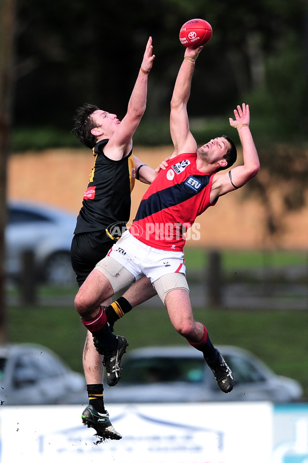 VFL 2014 Rd 12 - Werribee Tigers v Coburg - 335259