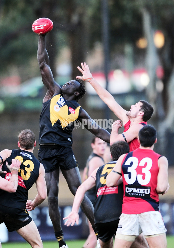 VFL 2014 Rd 12 - Werribee Tigers v Coburg - 335320