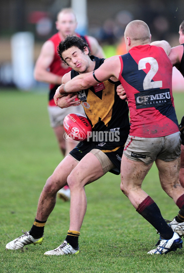 VFL 2014 Rd 12 - Werribee Tigers v Coburg - 335321