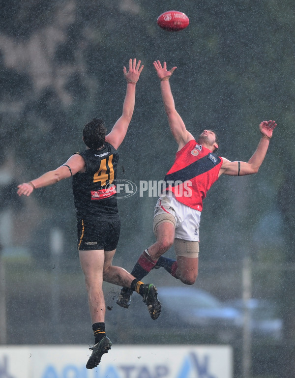 VFL 2014 Rd 12 - Werribee Tigers v Coburg - 335312