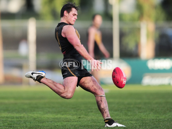 VFL 2014 Rd 12 - Werribee Tigers v Coburg - 335307