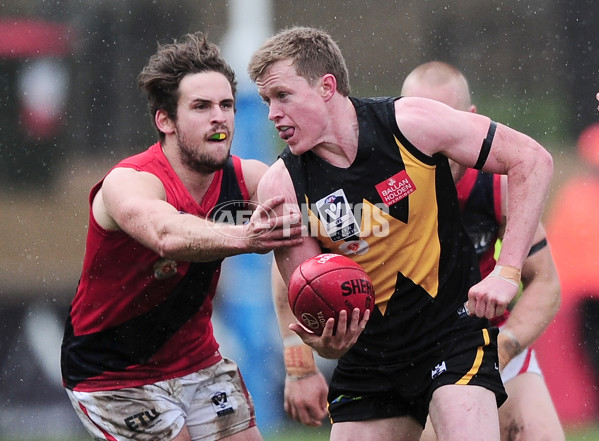 VFL 2014 Rd 12 - Werribee Tigers v Coburg - 335264