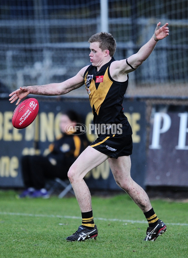 VFL 2014 Rd 12 - Werribee Tigers v Coburg - 335313