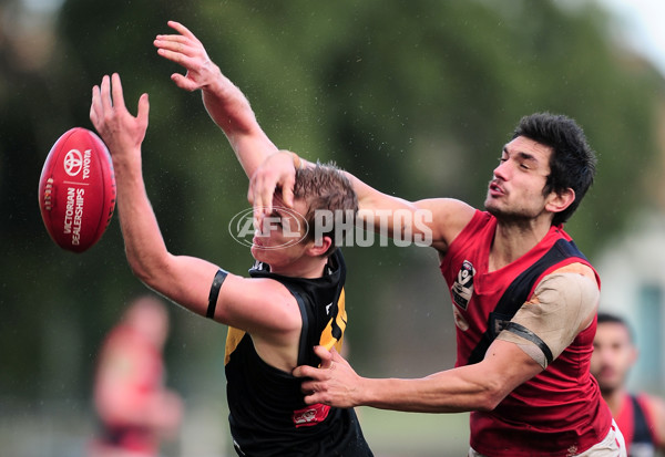 VFL 2014 Rd 12 - Werribee Tigers v Coburg - 335308