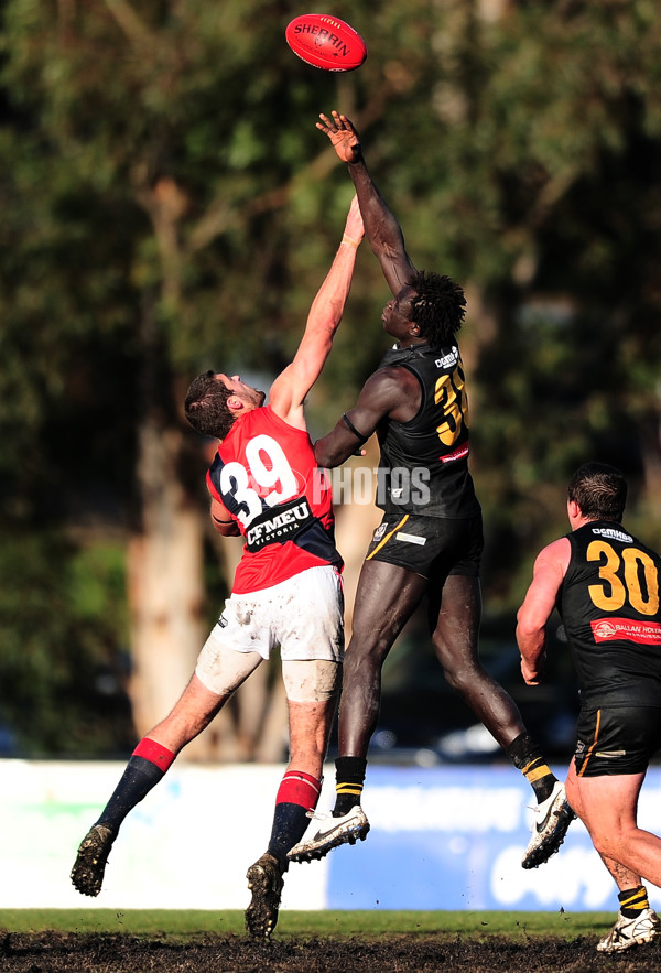 VFL 2014 Rd 12 - Werribee Tigers v Coburg - 335314