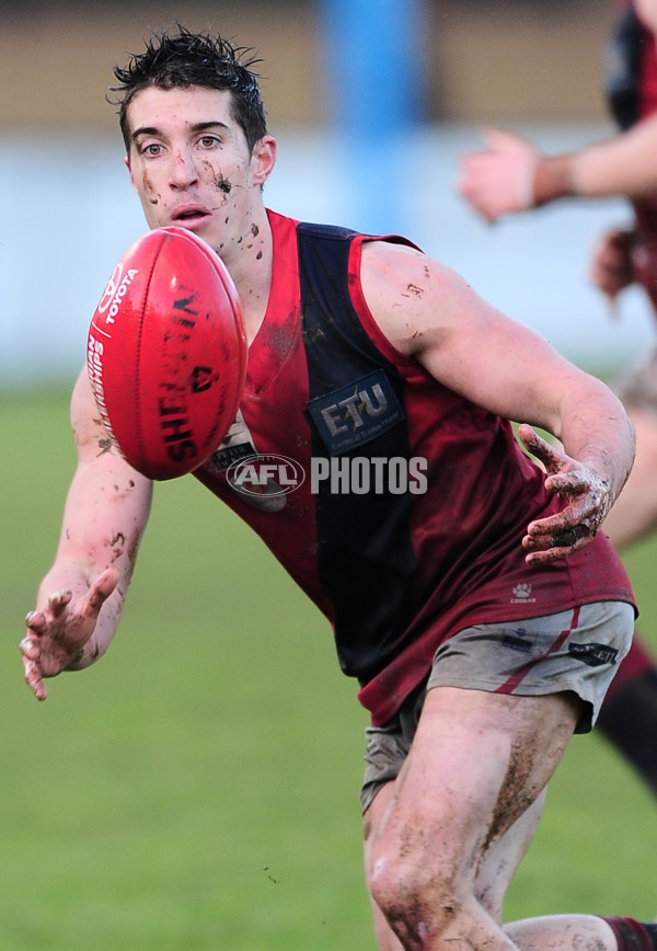 VFL 2014 Rd 12 - Werribee Tigers v Coburg - 335322