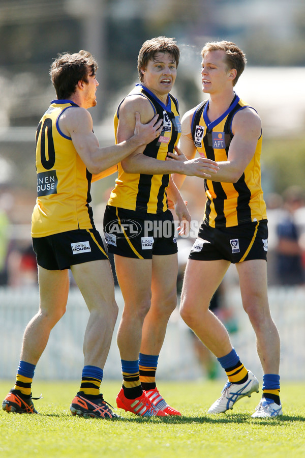 VFL 2015 2nd Semi Final - Sandringham v Collingwood - 403052