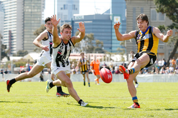 VFL 2015 2nd Semi Final - Sandringham v Collingwood - 403065