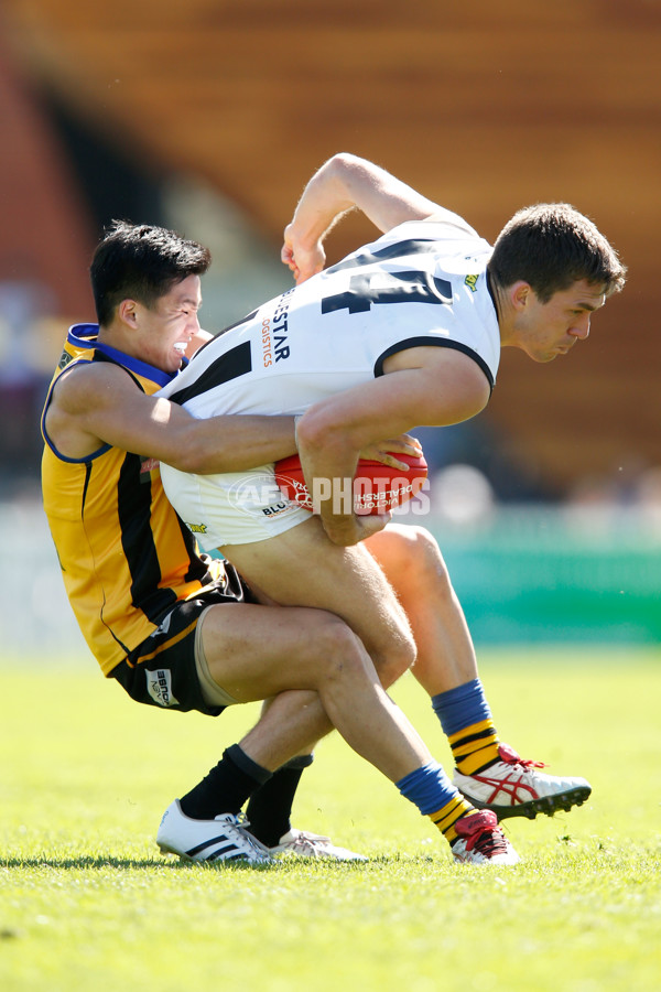 VFL 2015 2nd Semi Final - Sandringham v Collingwood - 403071