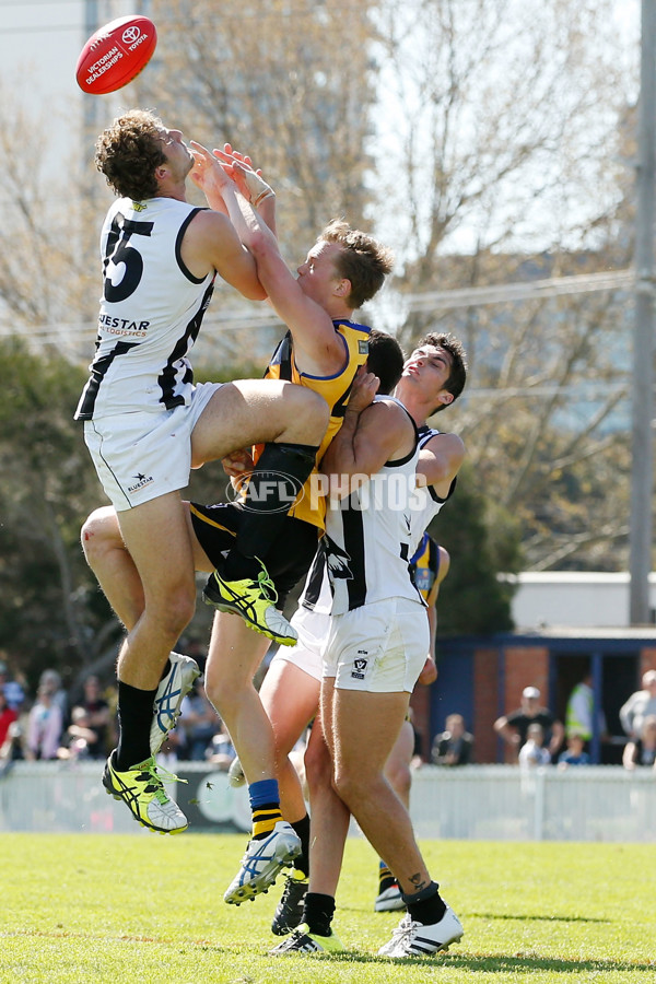 VFL 2015 2nd Semi Final - Sandringham v Collingwood - 403066