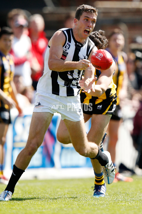 VFL 2015 2nd Semi Final - Sandringham v Collingwood - 403090