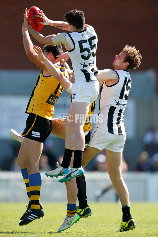 VFL 2015 2nd Semi Final - Sandringham v Collingwood - 403069