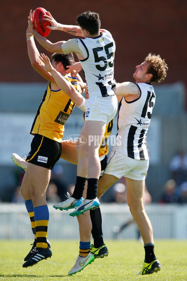 VFL 2015 2nd Semi Final - Sandringham v Collingwood - 403069