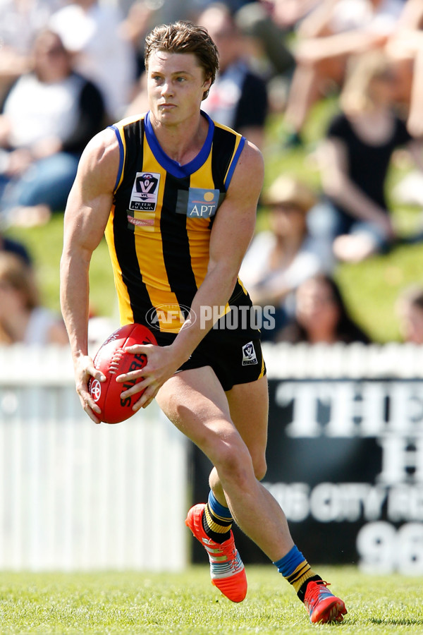 VFL 2015 2nd Semi Final - Sandringham v Collingwood - 403106